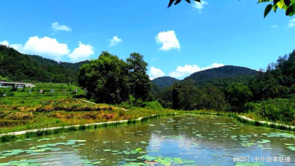 稍早前口碑推广灵活化配置您的排版工具,开启你的营销新时代,ks自助平台下单24小时免费吗：快手小店自助服务全天在线指南