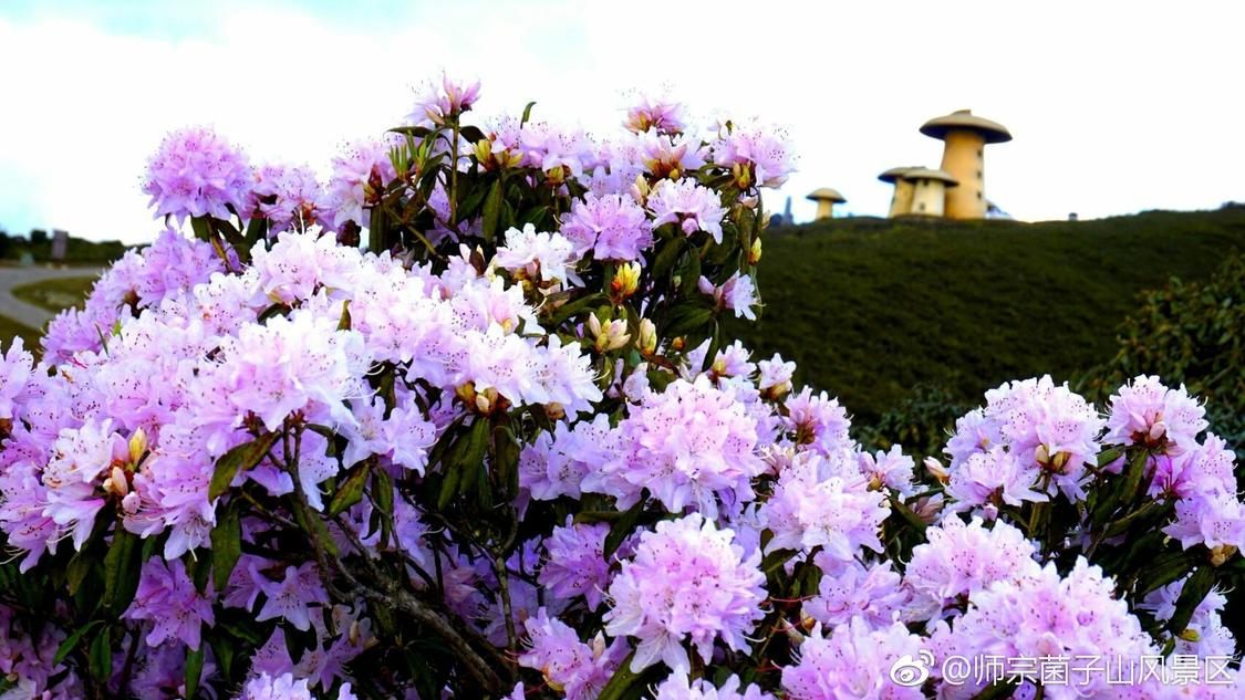 快赞自助下单入口