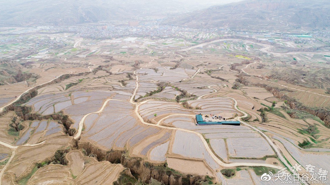 全网低价自助下单平台