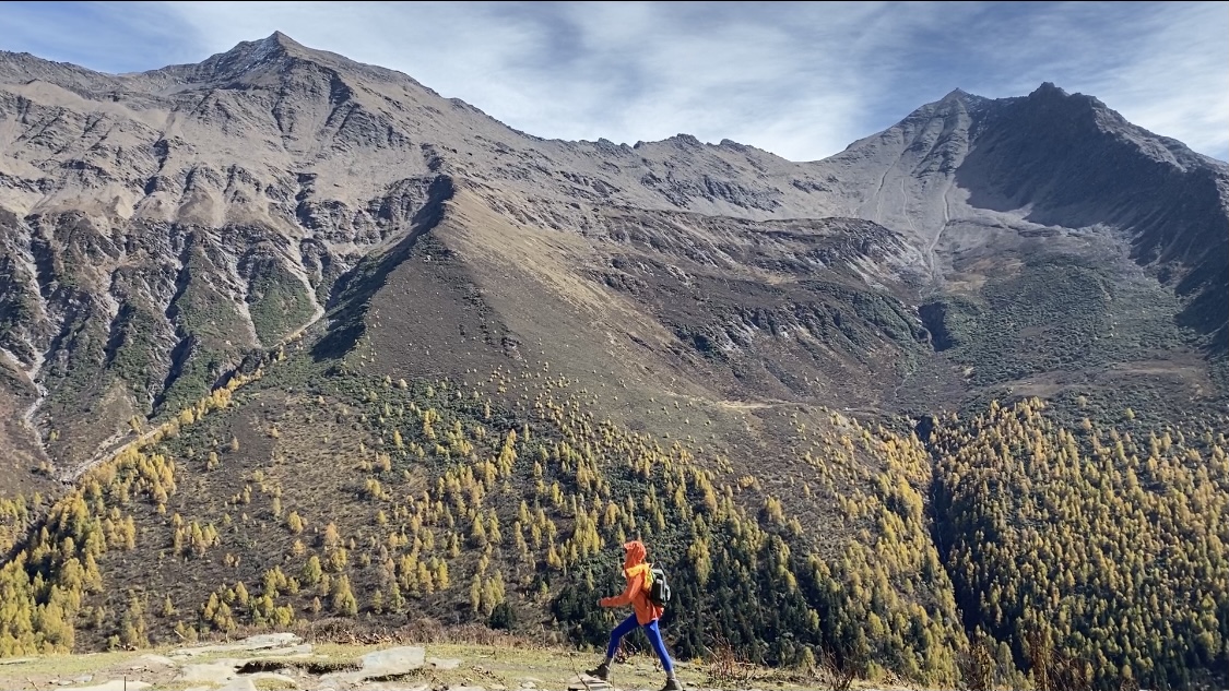 抖音业务卡盟网站：自媒体时代个人品牌打造全攻略_dy自助下单网站低价